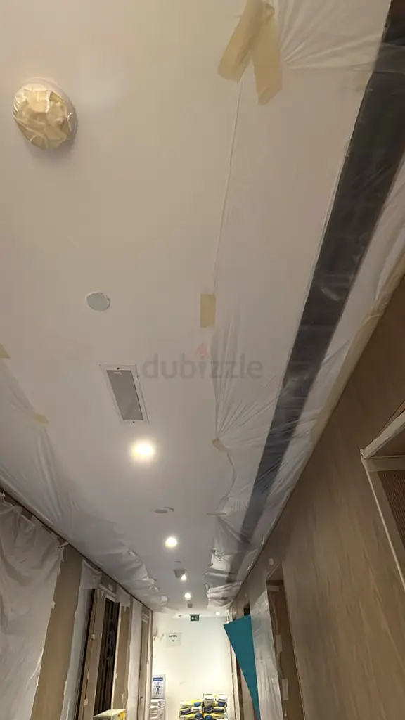 DPV_View_Image_8