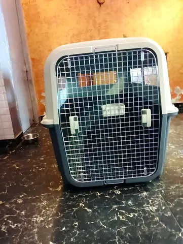 48 inches plastic pet crate IATA approved with metal door - good condition