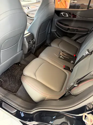 Jetour X50 Luxury, миниатюра 19