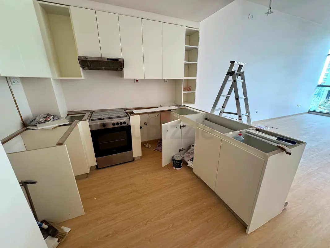 DPV_View_Image_2