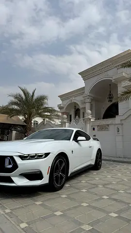 Ford Mustang Ecoboost, миниатюра 4