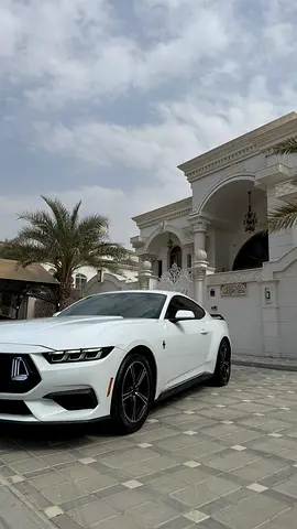 2024 FORD MUSTANG 照片 4