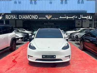 Tesla Model Y Long Range, миниатюра 2