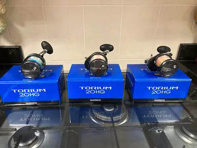 Shimano Torium Reel