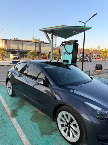 2021 Tesla MODEL 3 — миниатюра 3