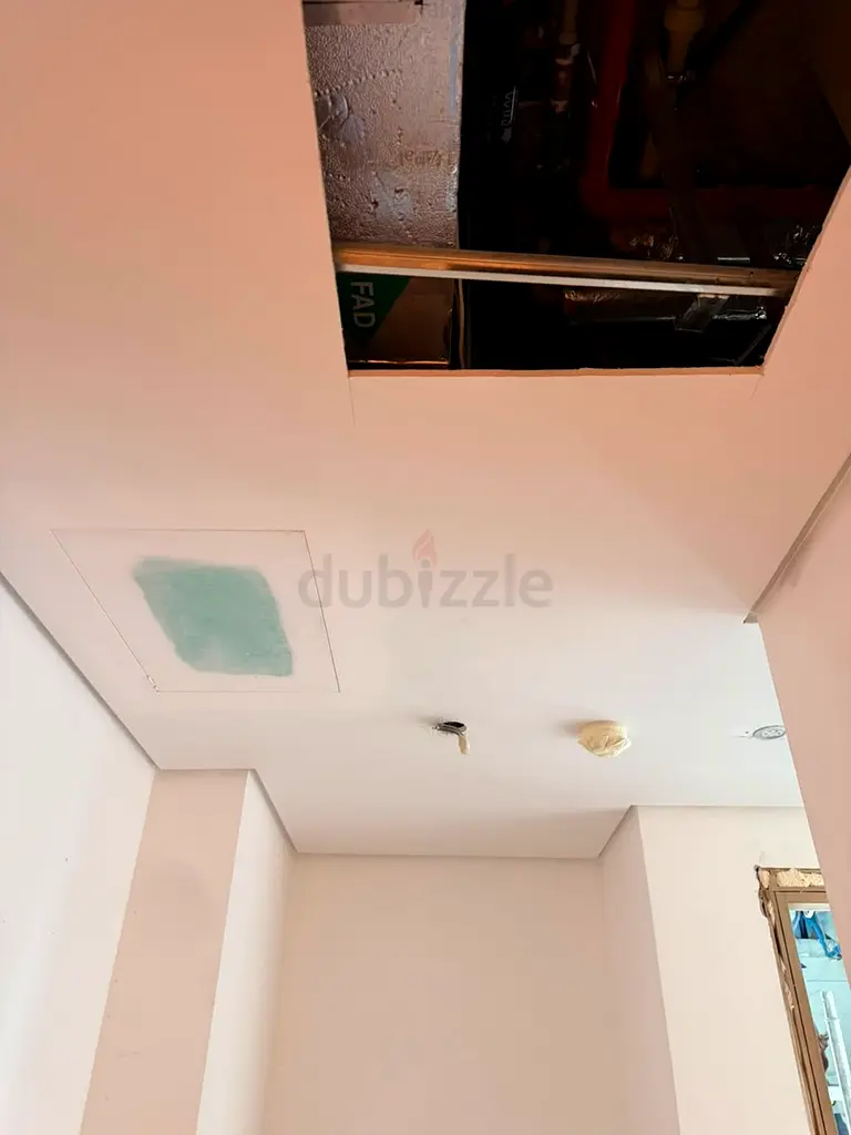 DPV_View_Image_5