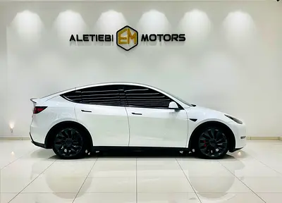 Tesla Model Y Long Range, миниатюра 8