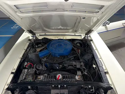 1967 FORD MUSTANG 照片 8