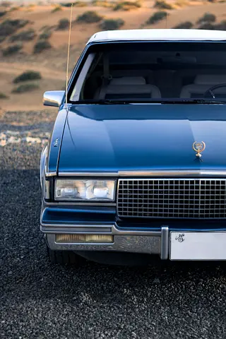 1987 Cadillac DTS/DE VILLE photo 3