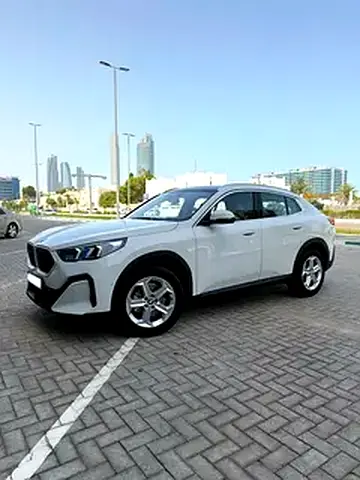 2027 BMW X2 照片 2