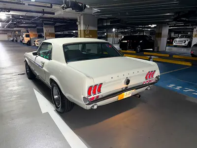 1967 FORD MUSTANG 照片 1