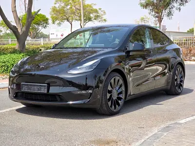 Tesla Model Y Performance, миниатюра 3