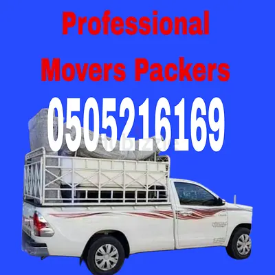 Fast Care Mover's Packers Cheap And Safe