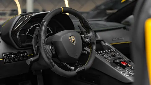 2017 Lamborghini AVENTADOR 缩略图 14