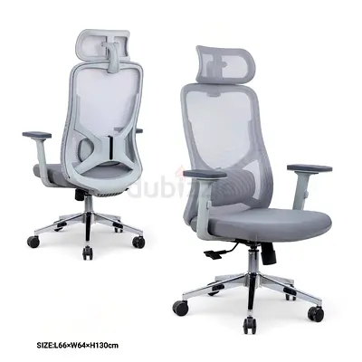 Ergonomic Mesh Office Chair with Headrest - Adjustable Lumbar Support