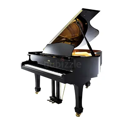 Steiner HG-186E Grand Piano with Self Play - Black