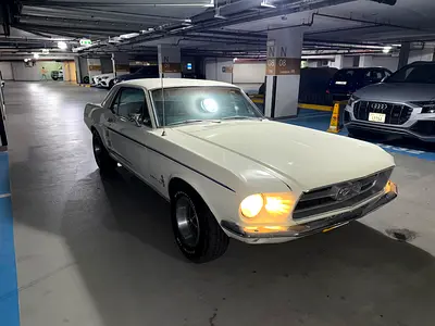 1967 FORD MUSTANG 照片 4