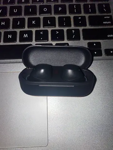 WF-C510 Truly Wireless Earbuds