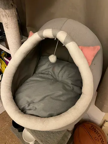 Cat Stuff