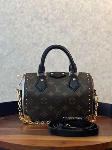 Louis vuitton speedy Trunk 20 in monogram