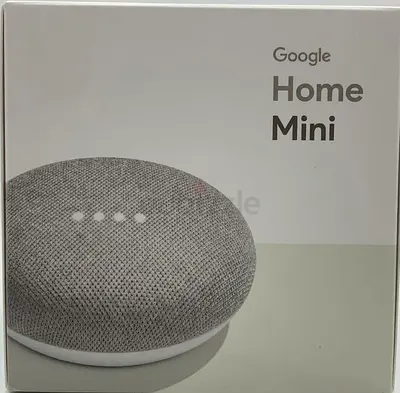Google Home Mini (1st Gen):