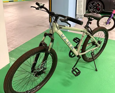 Bicycle adult