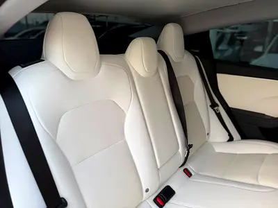Tesla Model 3 Long Range, миниатюра 14