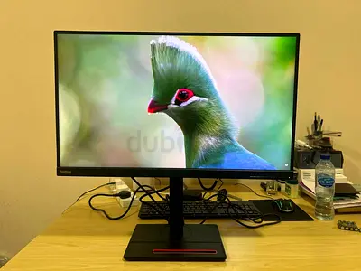 Lenovo monitor