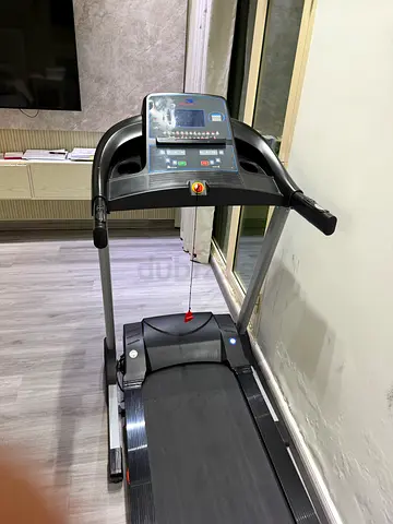 Skyland treadmill