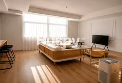 Upgraded | Furnished | Vacant on Transfer