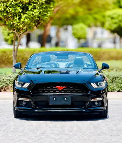 2015 FORD MUSTANG 照片 2
