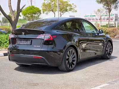 Tesla Model Y Performance, миниатюра 5