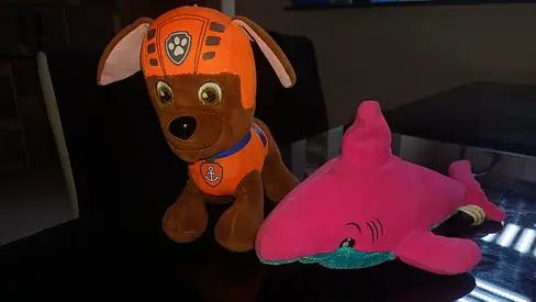 Original PAW Patrol Zuma Plush 🐾 + FREE Shark Soft Toy 🦈– Must Have for Fans!