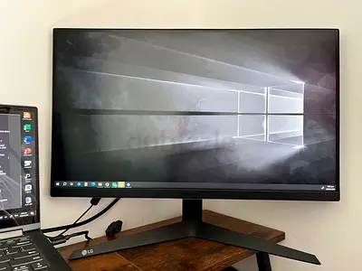 LG UltraGear Gaming Monitor 24inch, 165Hz, AMD freesync