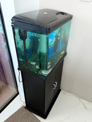 Small Fish Aquarium with Cabinet and Hood and filter with lights - Good Condition for sale