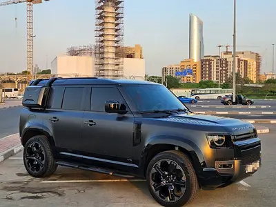 Land Rover Defender 110 Carpathian Edition, миниатюра 9