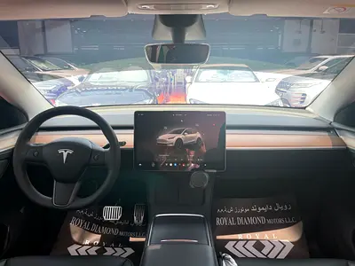 Tesla Model Y Long Range, миниатюра 13