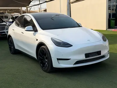 Tesla Model Y Long Range, миниатюра 2