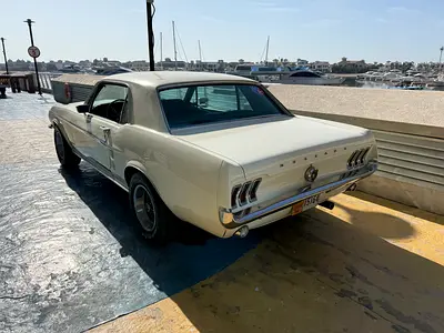 1967 FORD MUSTANG 照片 9