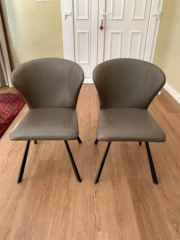 Modern Dining Chairs