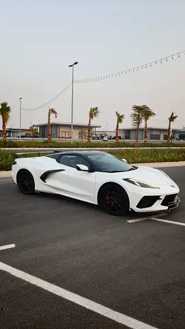 2022 Chevrolet CORVETTE 照片 3