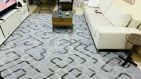 Light grey geometric modern area rug - good condition for 1 room size