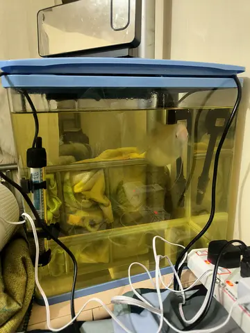 Small used home aquarium tank with basic heater and filter