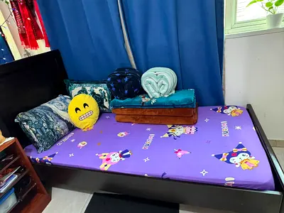Executive ladies bed space available for rent in sea view apartment.