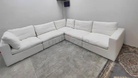 Top Quality ws living brand cloud feather 🪶 filled modular sofa