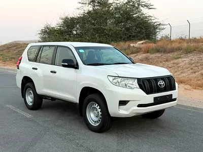 2019 Toyota PRADO — фото 5