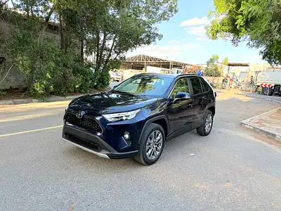2025 Toyota RAV 4 照片 1