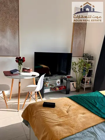 استديو مفروش سوبر كلاس بجزيرة مريم