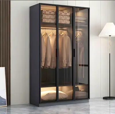 Modern 3-Door Glass Wardrobe / Armoire - Dark Frame, LED Lighting