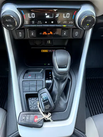 2025 Toyota RAV 4 照片 11